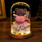 Keep Forever Luxury Light-Up Rose Bear In Glass