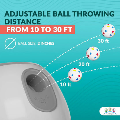 Automatic Ball Throwing Machine