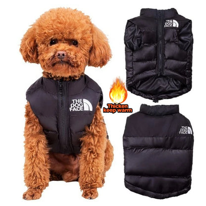 Dogs Puffer body warmer.